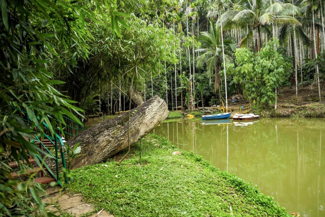 Bamboo Creek Resort Vaduvanchal Dış mekan fotoğraf