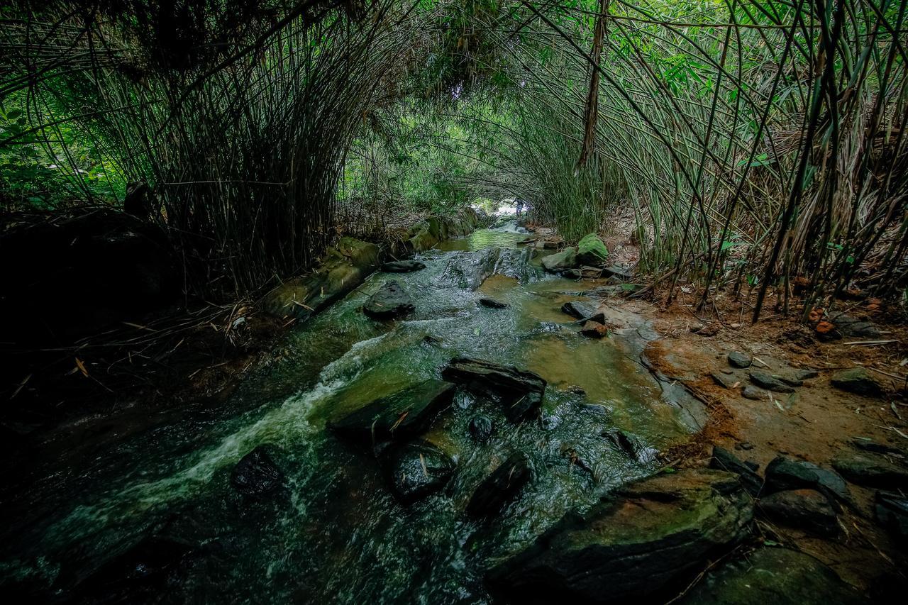 Bamboo Creek Resort Vaduvanchal Dış mekan fotoğraf