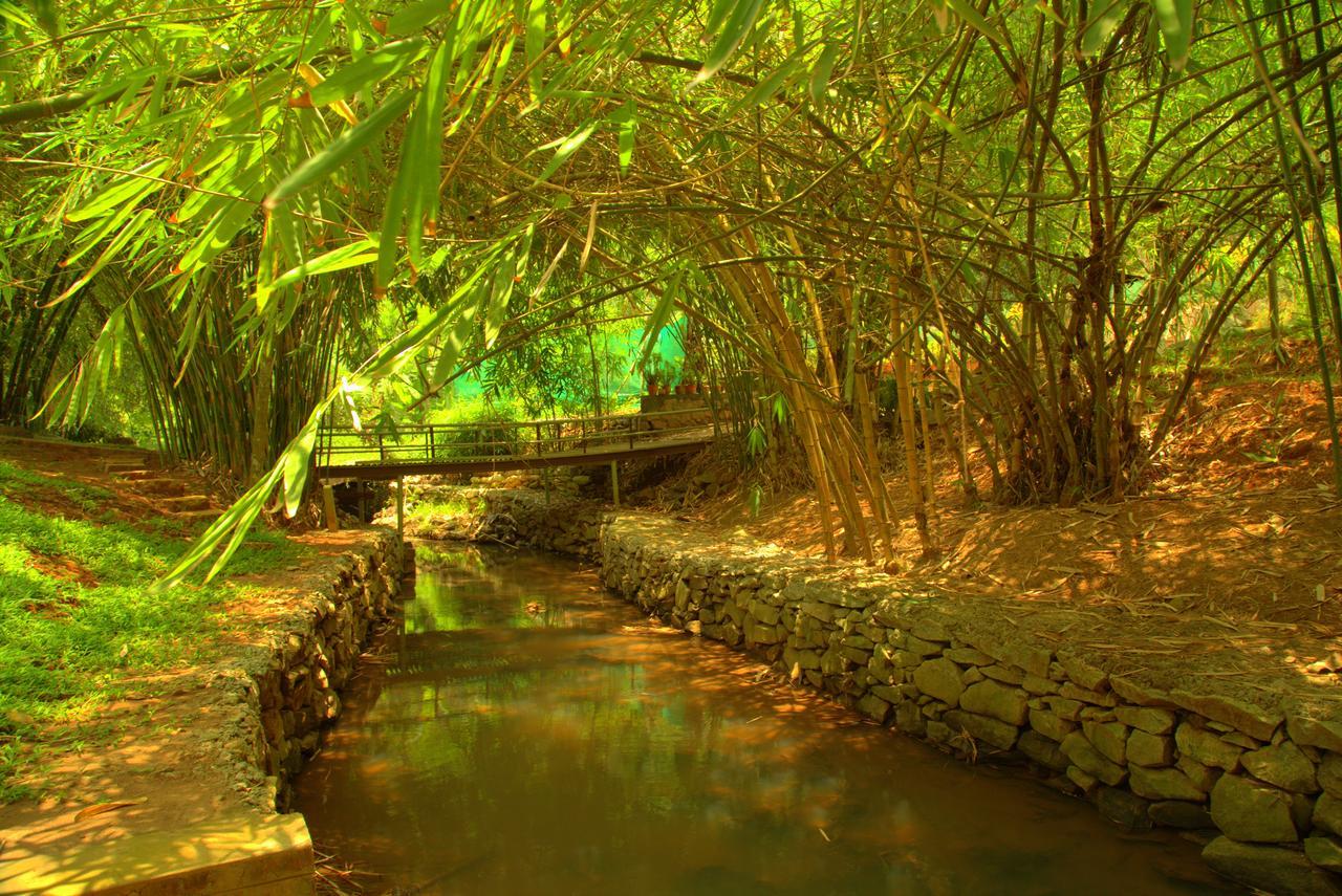 Bamboo Creek Resort Vaduvanchal Dış mekan fotoğraf