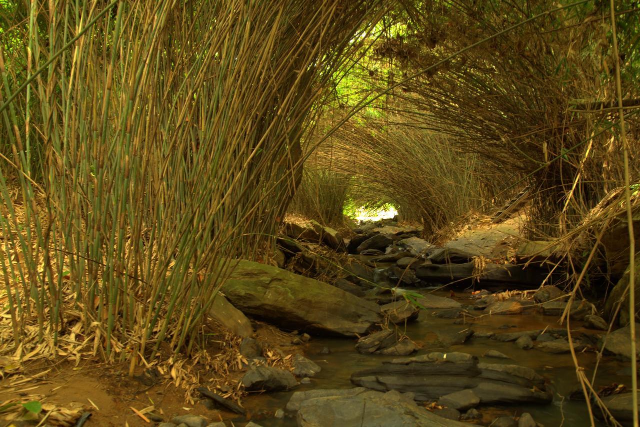 Bamboo Creek Resort Vaduvanchal Dış mekan fotoğraf