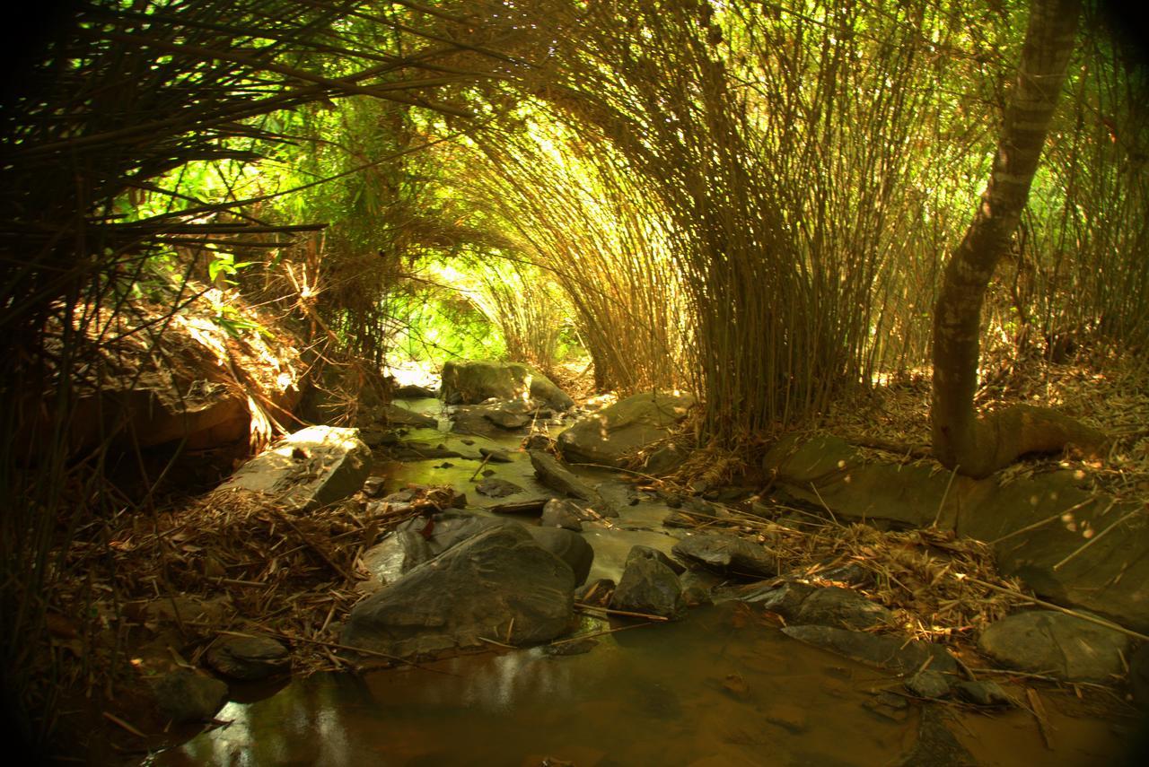 Bamboo Creek Resort Vaduvanchal Dış mekan fotoğraf