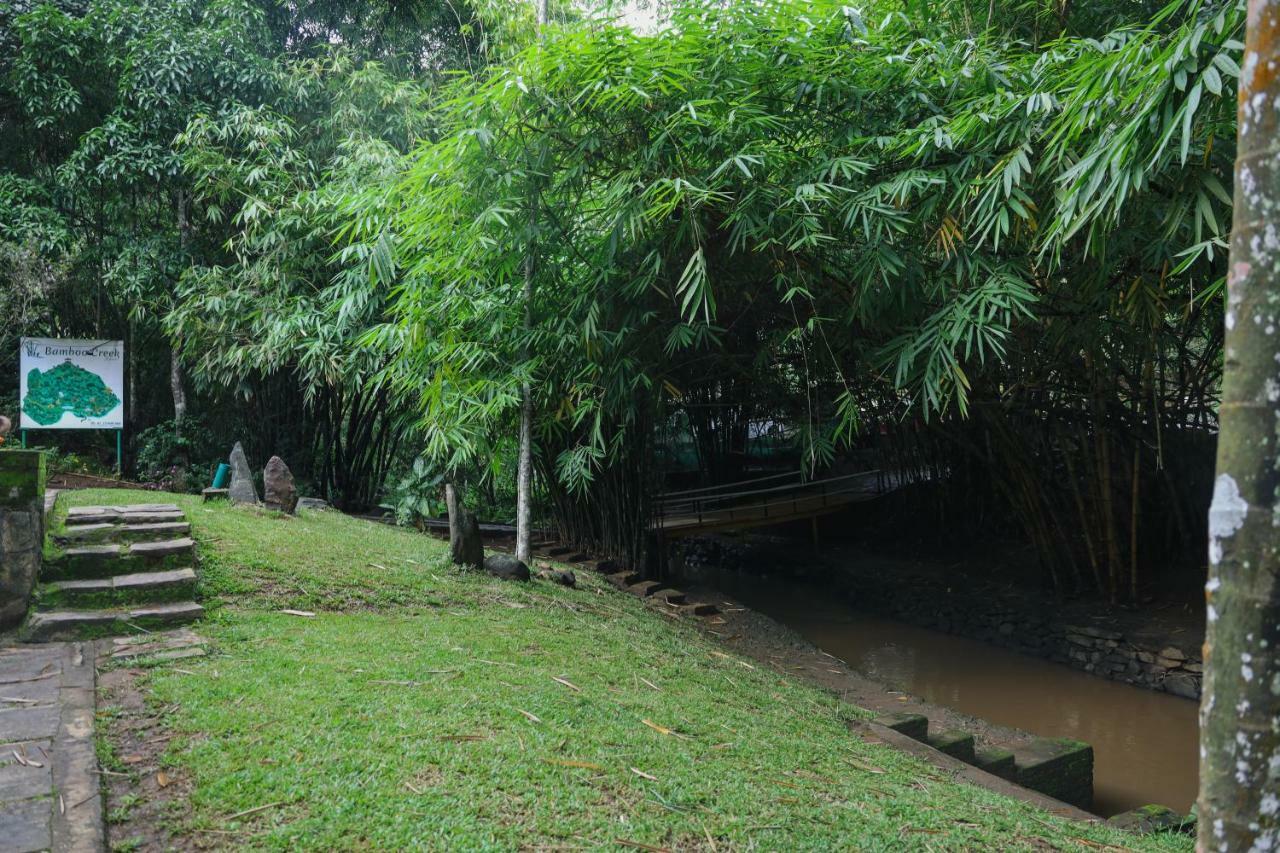 Bamboo Creek Resort Vaduvanchal Dış mekan fotoğraf