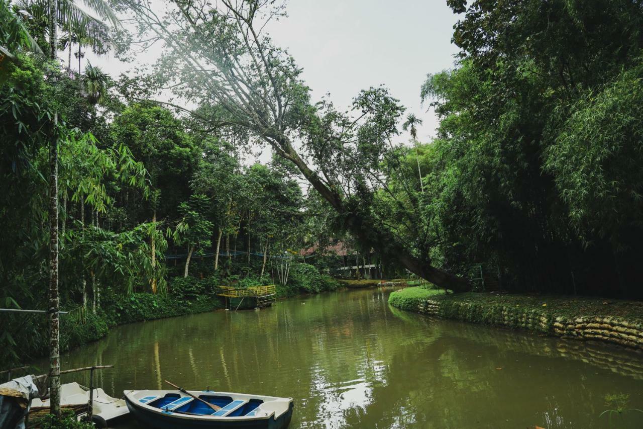 Bamboo Creek Resort Vaduvanchal Dış mekan fotoğraf