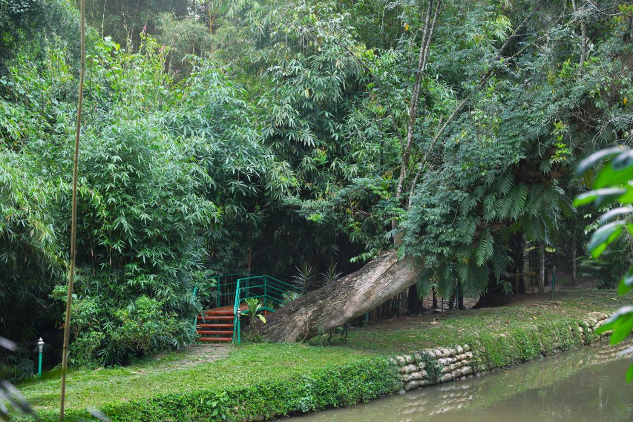 Bamboo Creek Resort Vaduvanchal Dış mekan fotoğraf