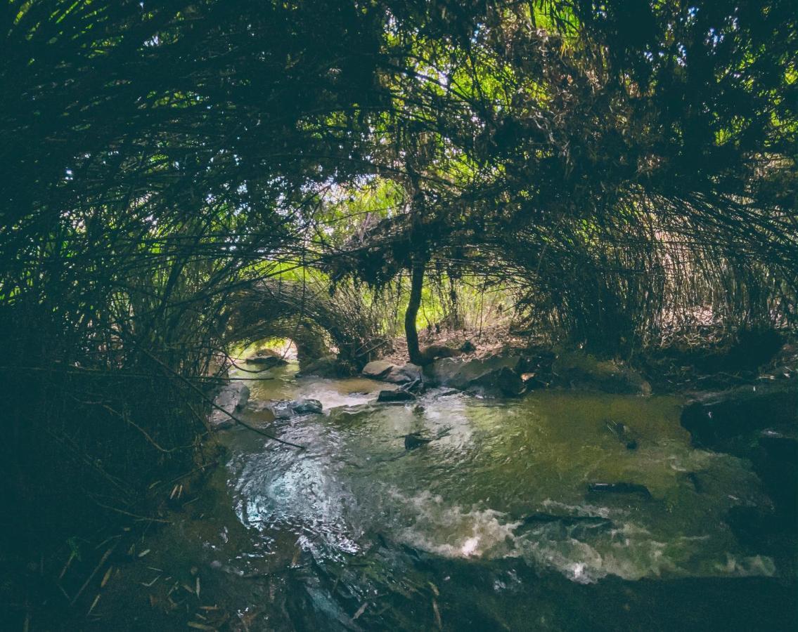 Bamboo Creek Resort Vaduvanchal Dış mekan fotoğraf